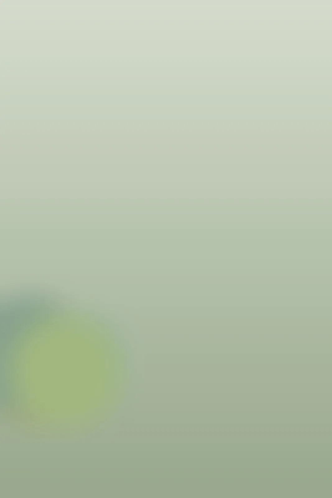 placeholder 02