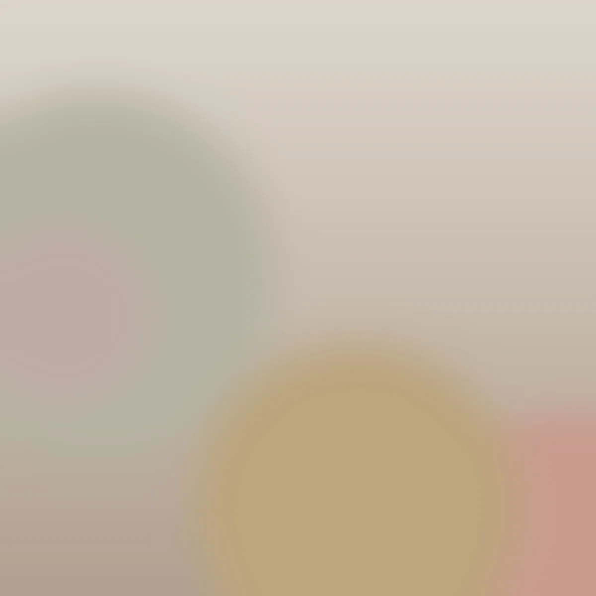 placeholder 05