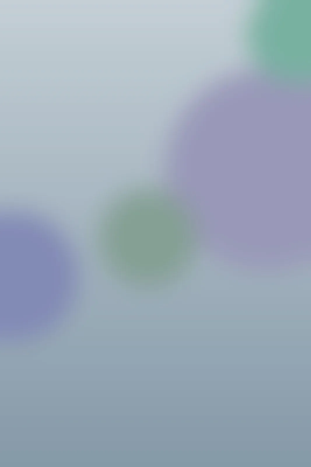 placeholder 06