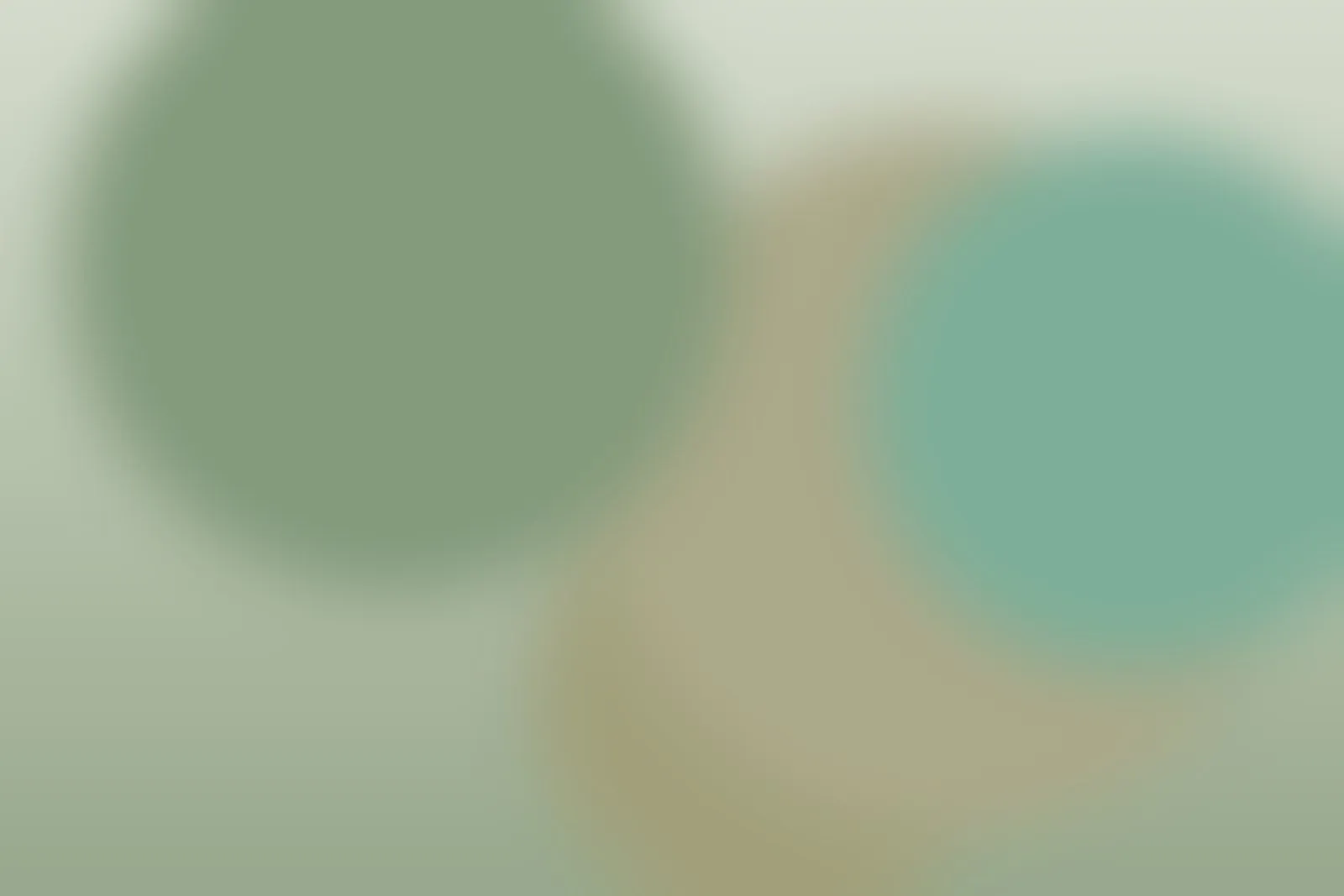 placeholder 07